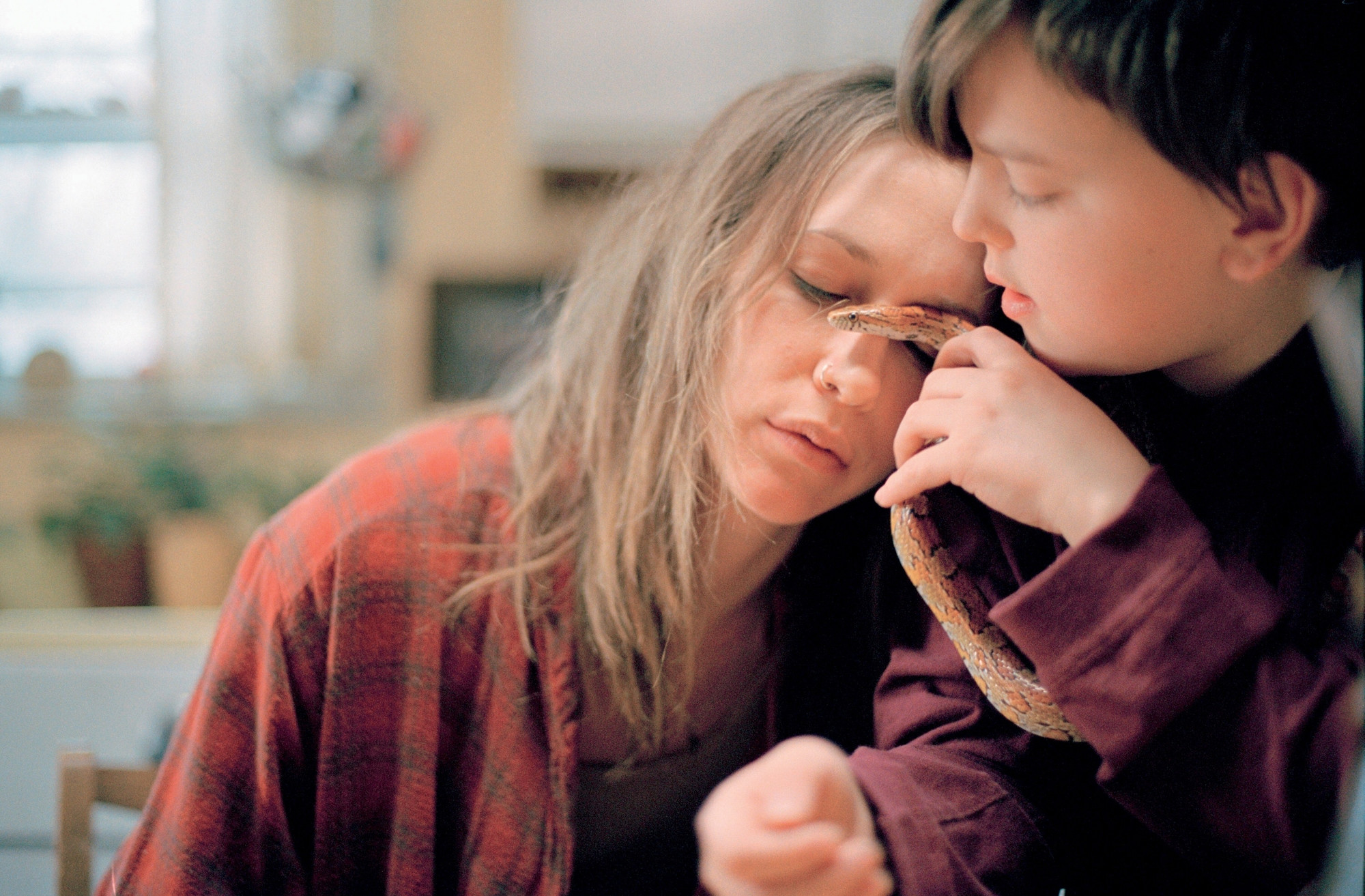 down-to-the-bone-2004-directed-by-debra-granik-moma